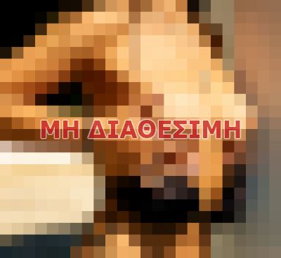 συνοδός σε Αθήνα